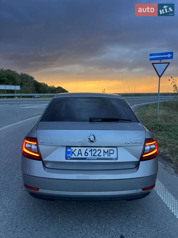 Ліфтбек Skoda Octavia 2017 в Полтаві фото 16 Ліфтбек Skoda Octavia 2017 в Полтаві