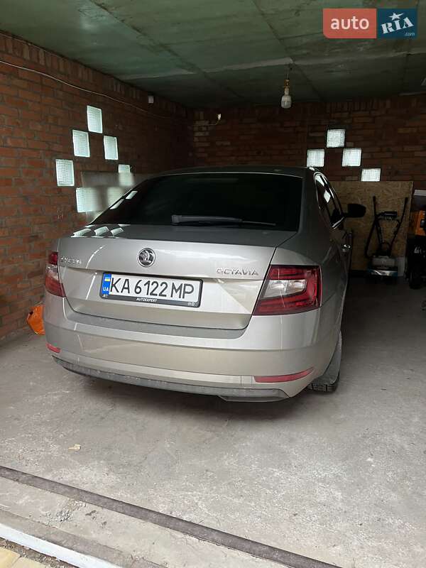 Ліфтбек Skoda Octavia 2017 в Полтаві фото 15 Ліфтбек Skoda Octavia 2017 в Полтаві