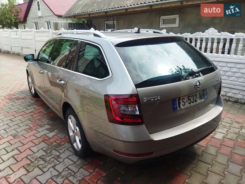 Универсал Skoda Octavia 2019 в Звягеле фото 26 Универсал Skoda Octavia 2019 в Звягеле