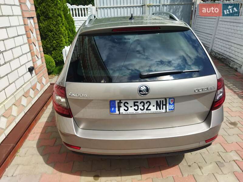 Универсал Skoda Octavia 2019 в Звягеле фото 46 Универсал Skoda Octavia 2019 в Звягеле