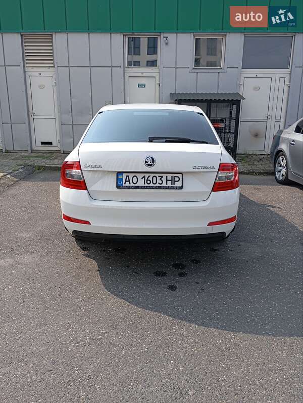 Лифтбек Skoda Octavia 2016 в Ужгороде