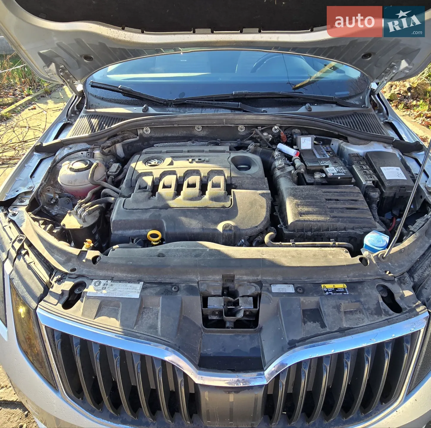 2017 Skoda Octavia - мініатюра 22