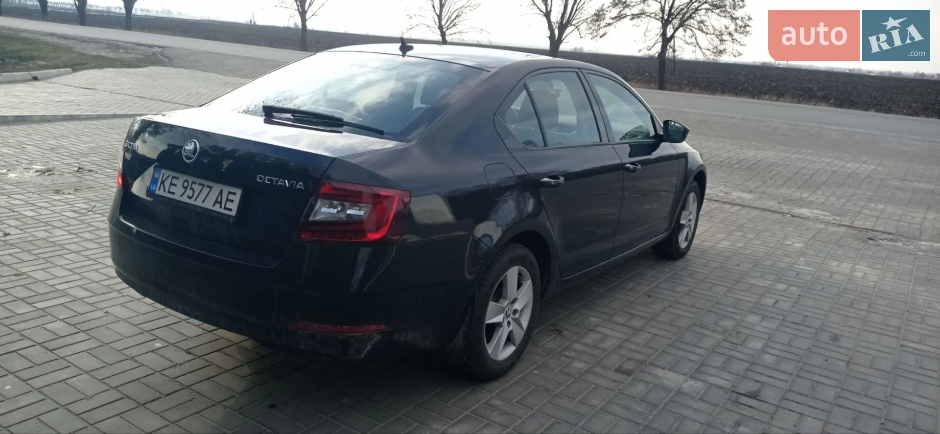 2019 Skoda Octavia - мініатюра 3