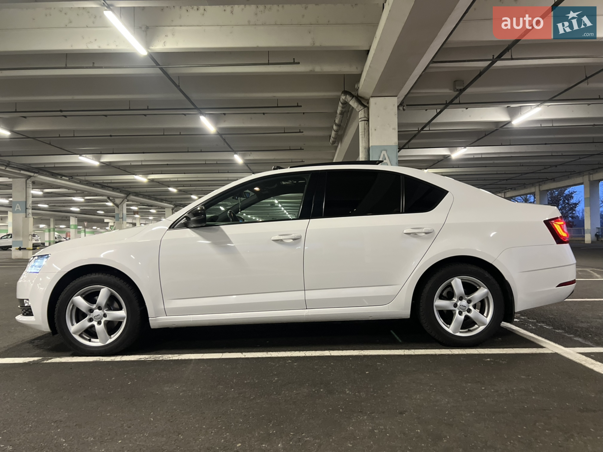 2019 Skoda Octavia - мініатюра 9