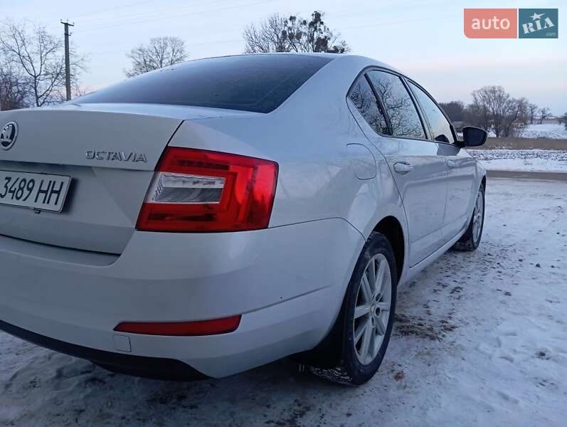 Универсал Skoda Octavia 2015 в Полтаве фото 13 Универсал Skoda Octavia 2015 в Полтаве