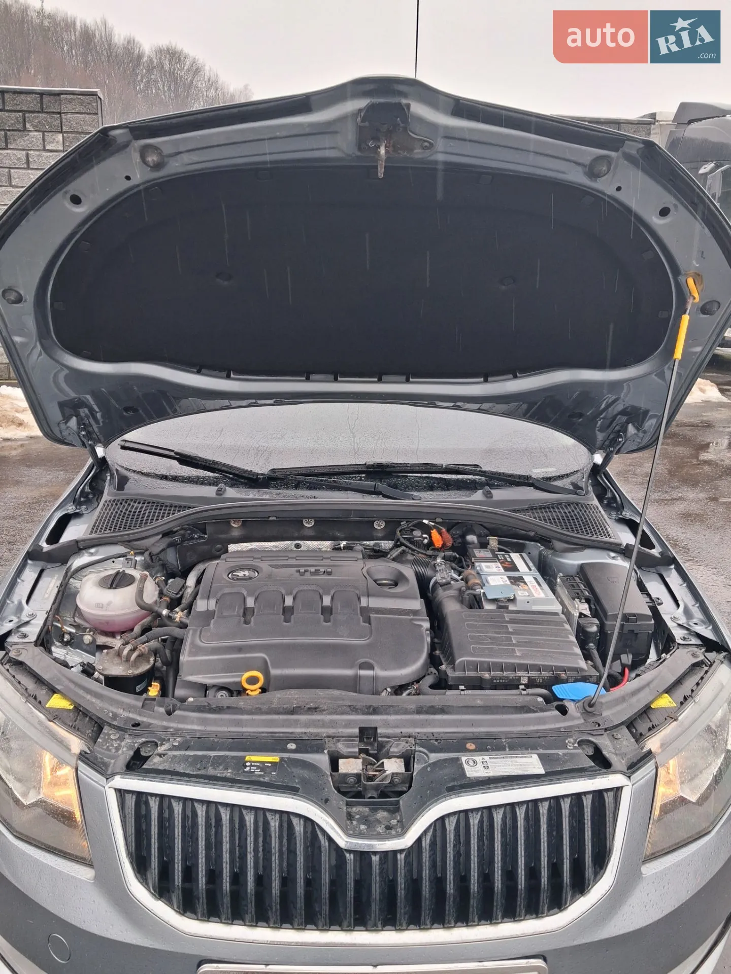 2013 Skoda Octavia - мініатюра 32