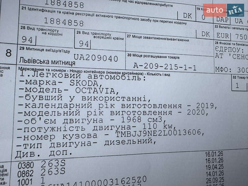 Универсал Skoda Octavia 2019 в Бережанах