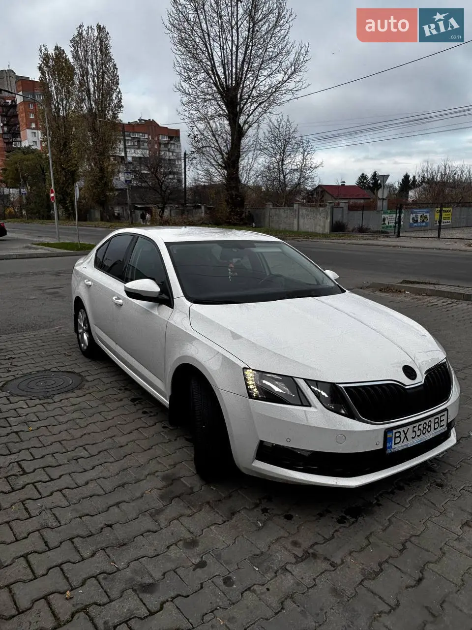 2018 Skoda Octavia - мініатюра 29