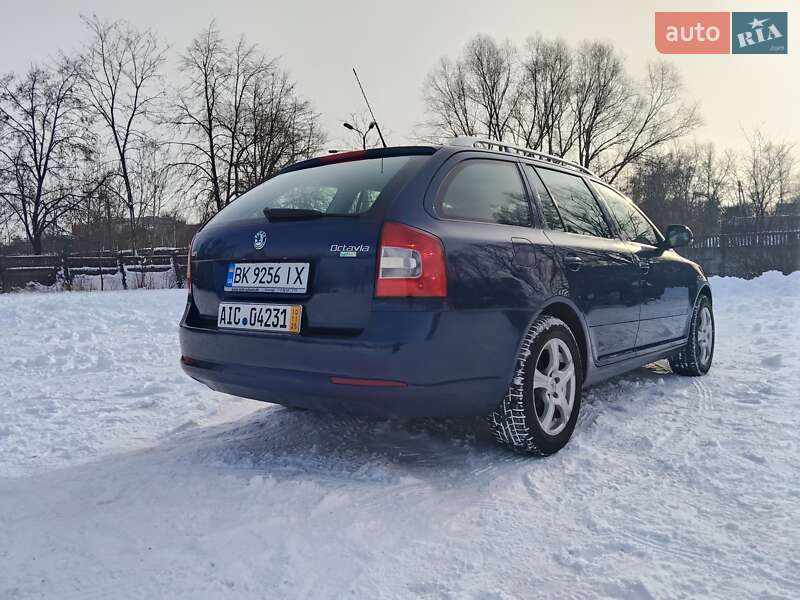 Универсал Skoda Octavia 2009 в Чернигове