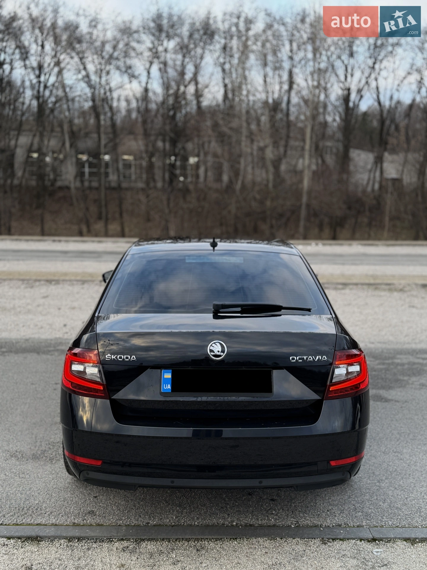2018 Skoda Octavia - мініатюра 14