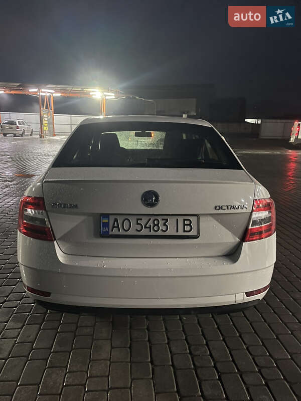 Лифтбек Skoda Octavia 2017 в Ужгороде