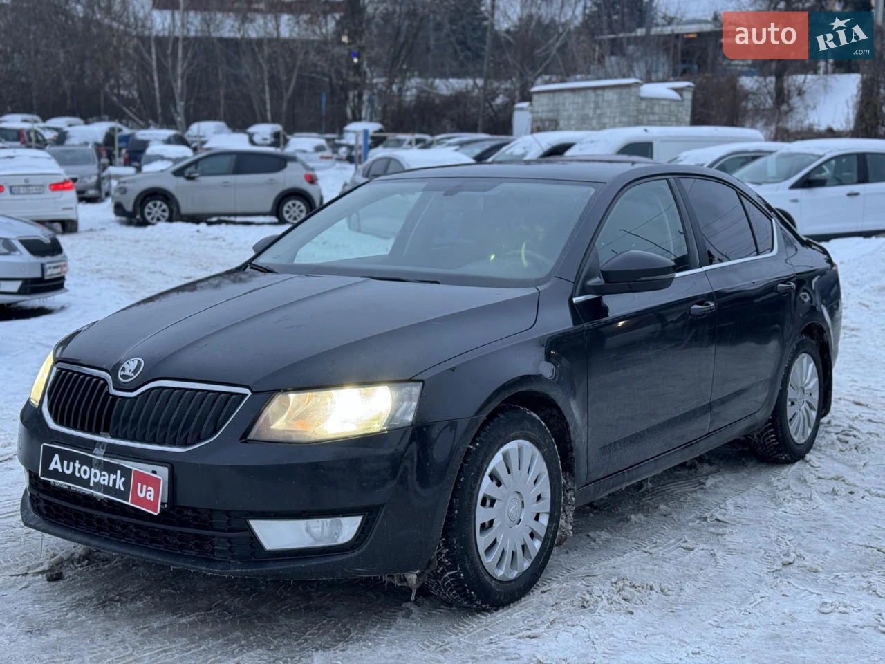 2014 Skoda Octavia - мініатюра 12