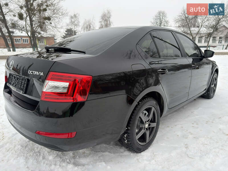 Лифтбек Skoda Octavia 2014 в Ахтырке фото 24 Лифтбек Skoda Octavia 2014 в Ахтырке