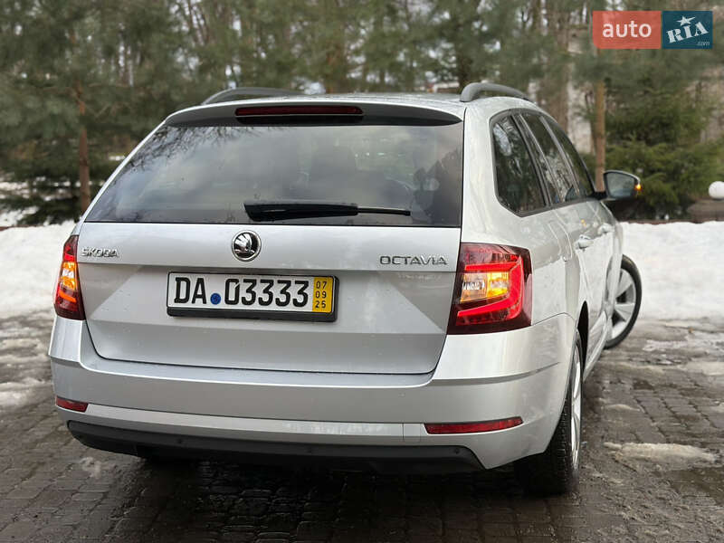 Универсал Skoda Octavia 2019 в Львове