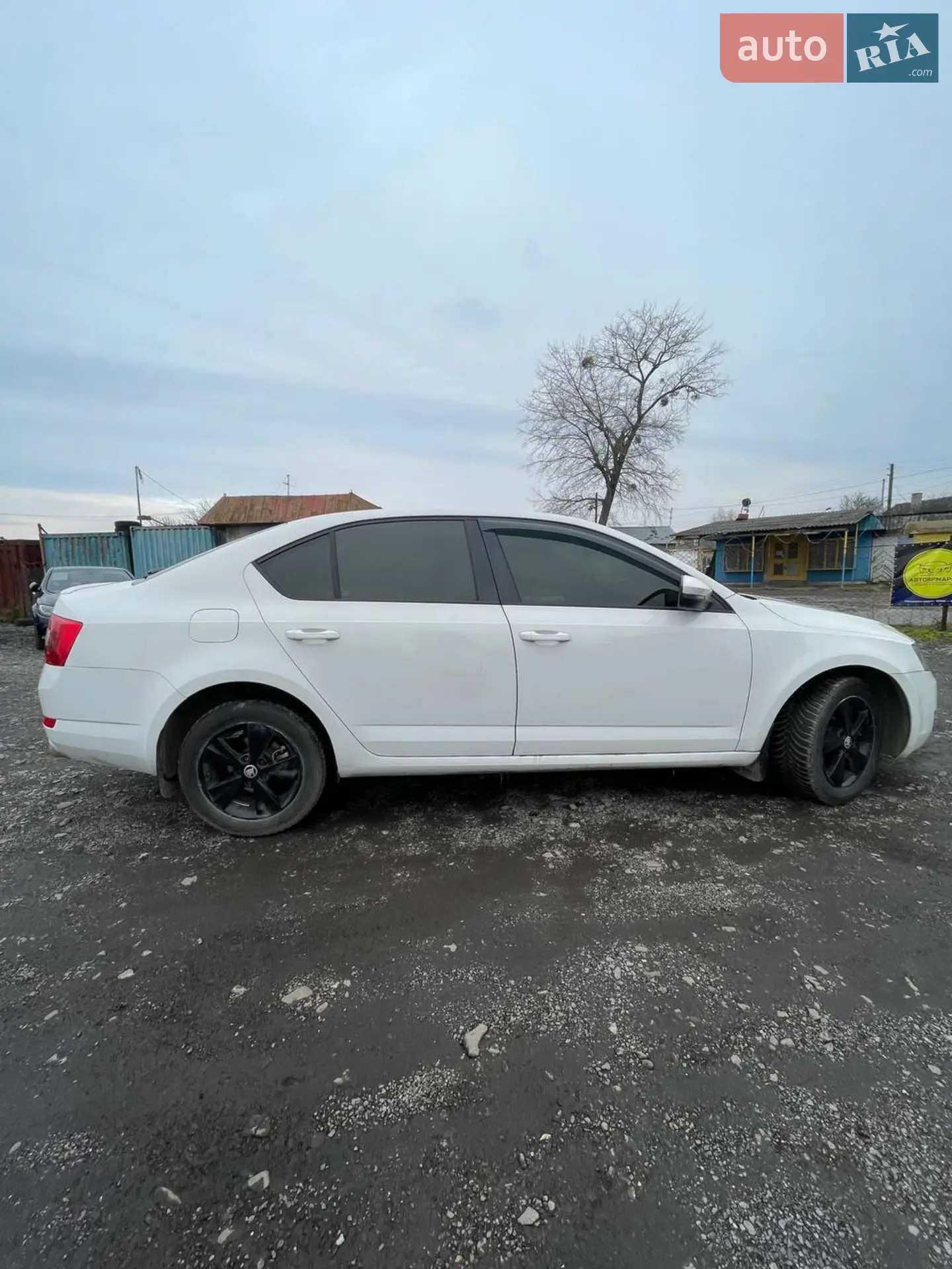 2013 Skoda Octavia - мініатюра 6