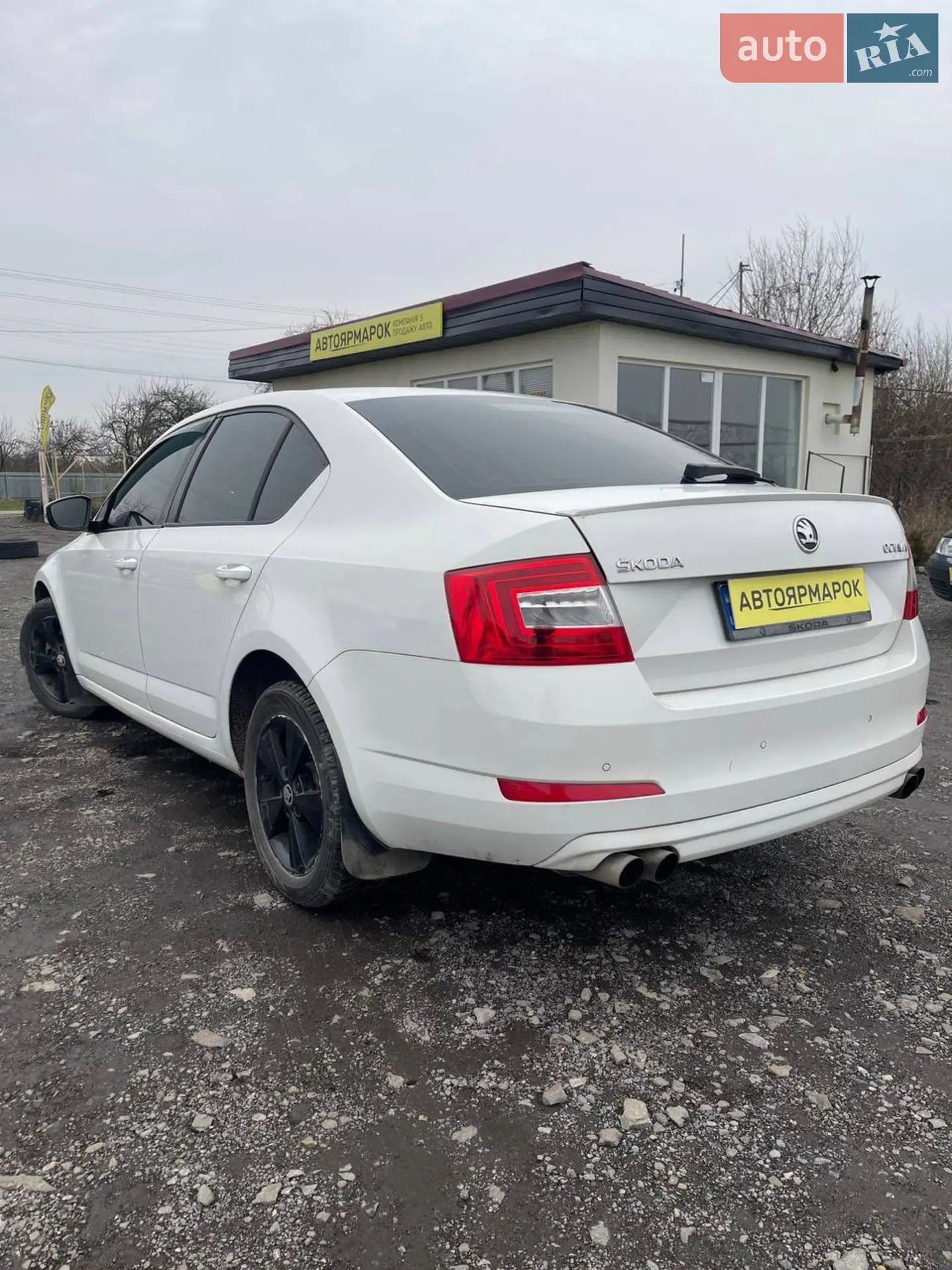 2013 Skoda Octavia - мініатюра 11