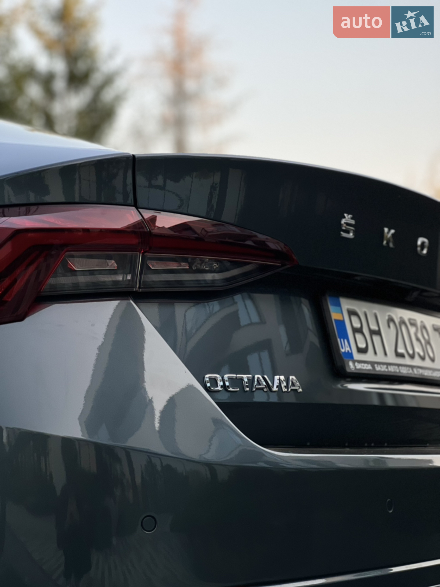 2021 Skoda Octavia - мініатюра 14