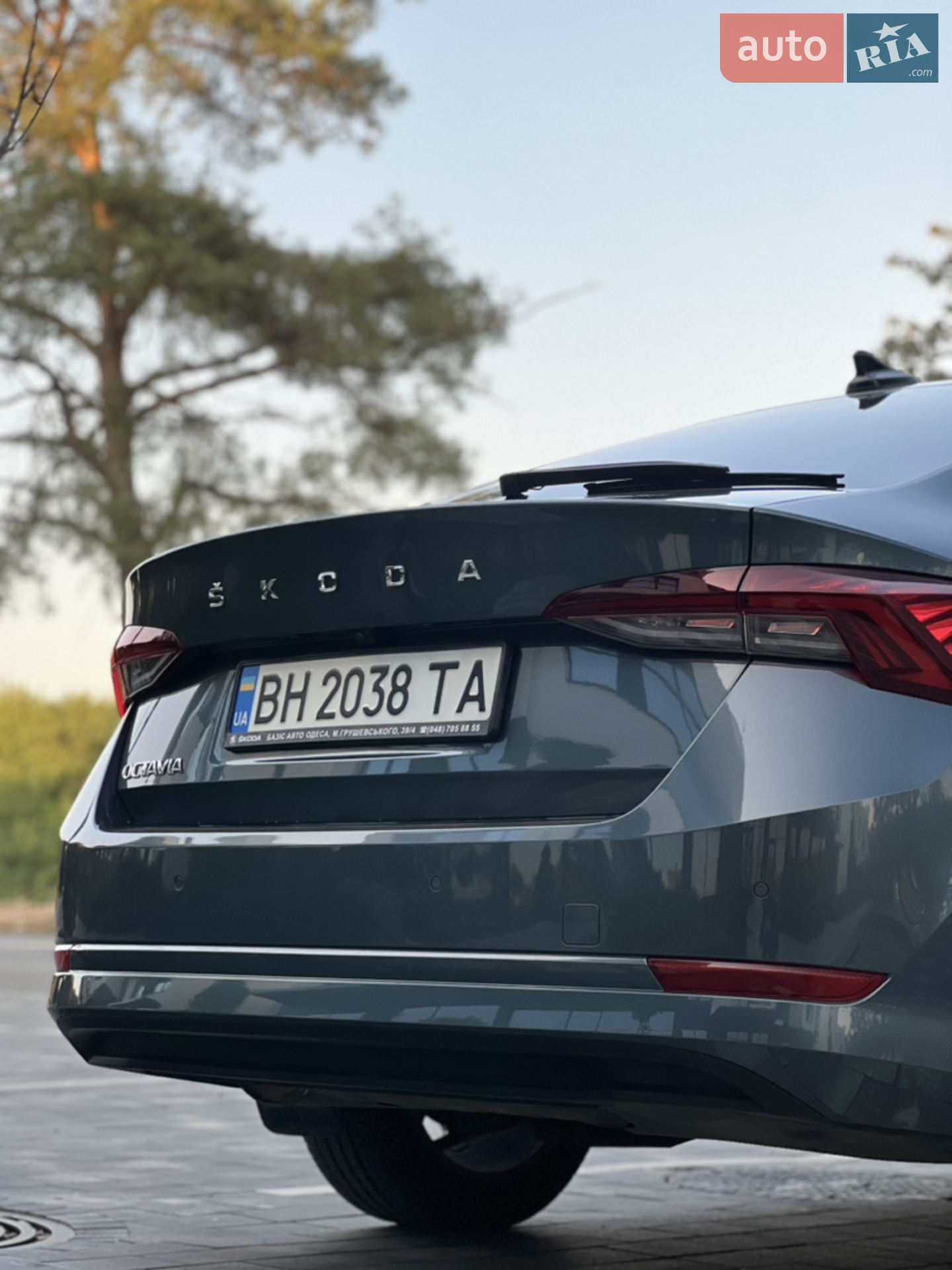 2021 Skoda Octavia - мініатюра 13