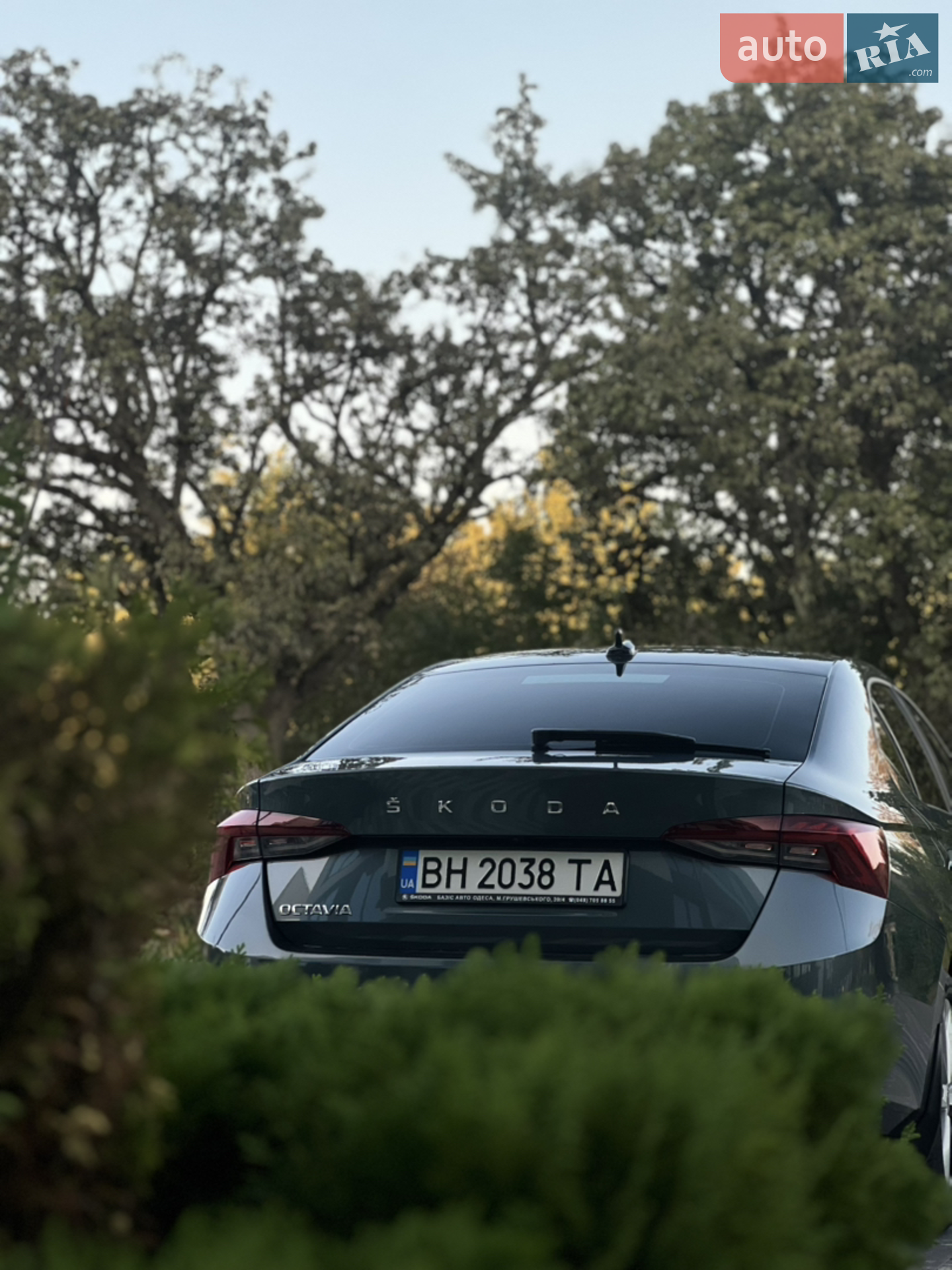2021 Skoda Octavia - мініатюра 33