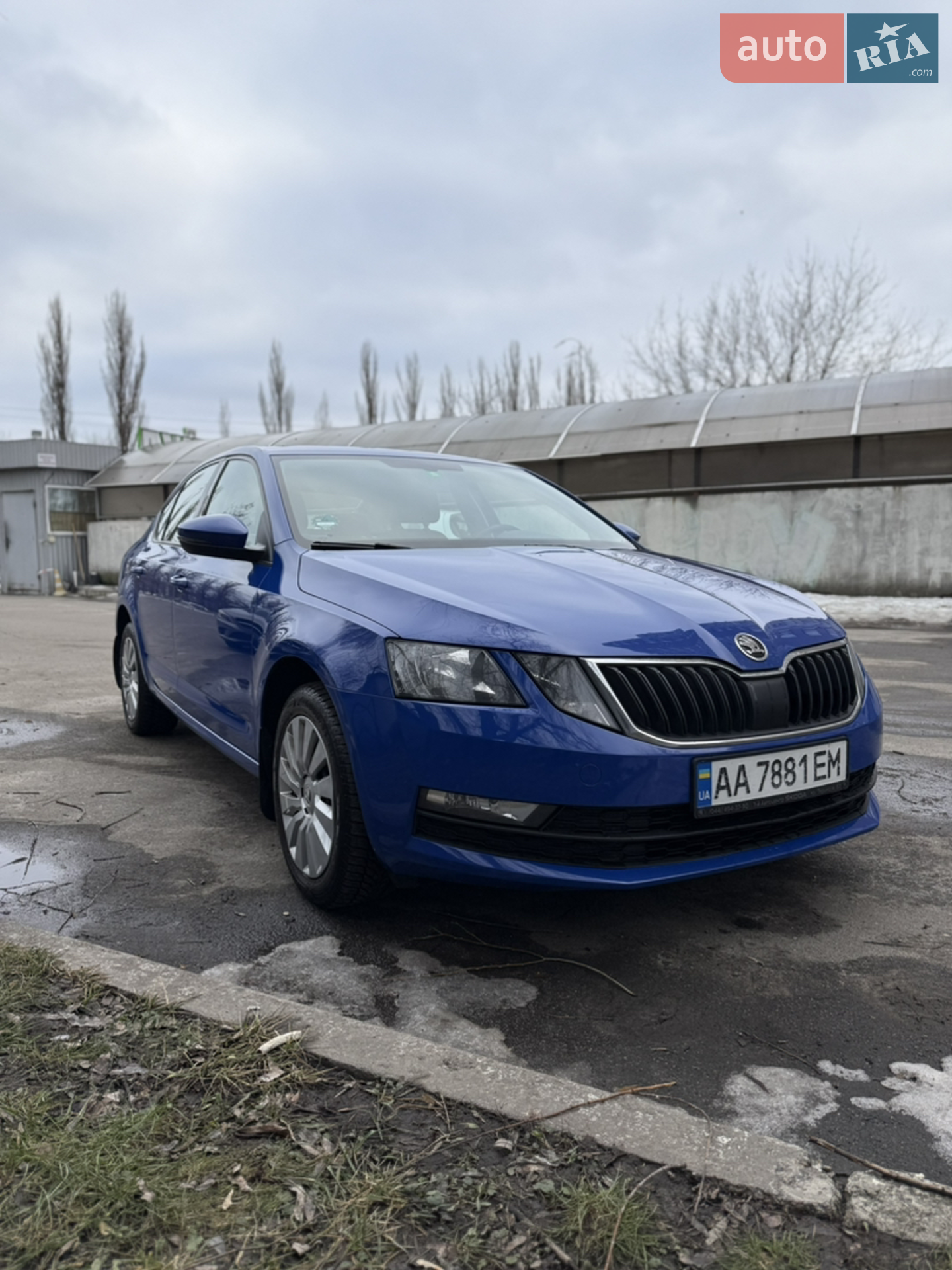 2019 Skoda Octavia - мініатюра 4