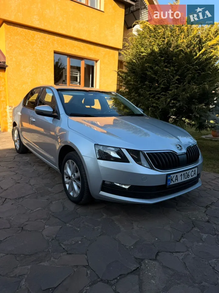 2019 Skoda Octavia - мініатюра 13