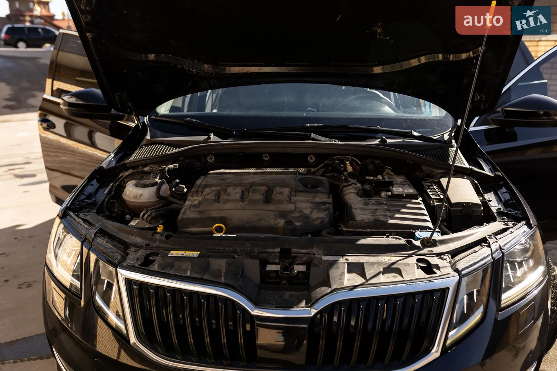 2019 Skoda Octavia - мініатюра 21