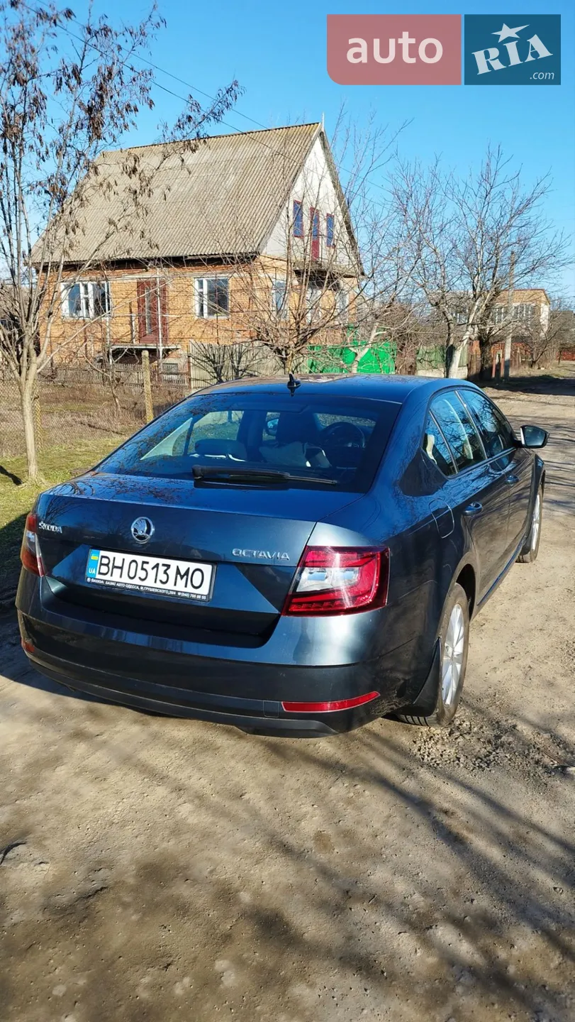 2020 Skoda Octavia - мініатюра 3