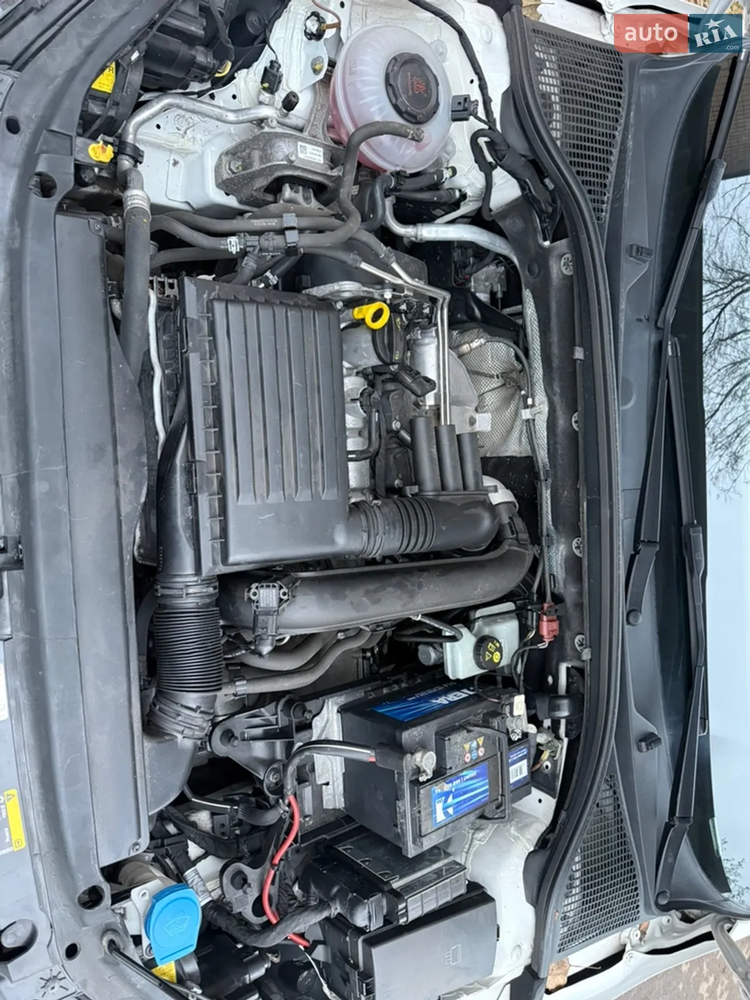 2019 Skoda Octavia - мініатюра 12