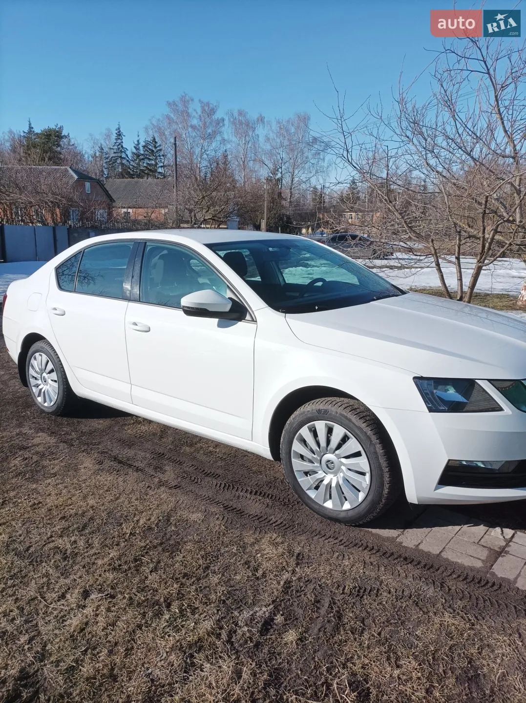 2017 Skoda Octavia - мініатюра 2