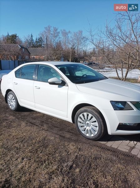 Лифтбек Skoda Octavia 2017 в Ромнах