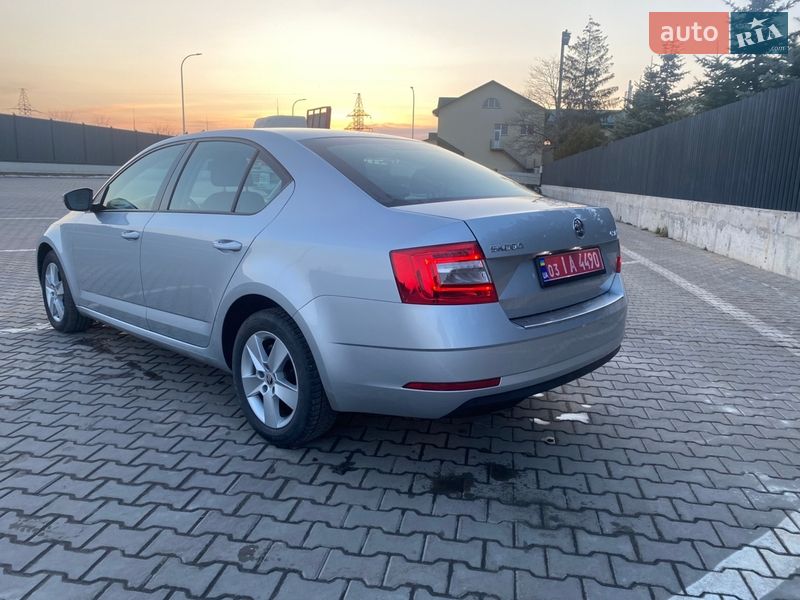 Лифтбек Skoda Octavia 2019 в Луцке