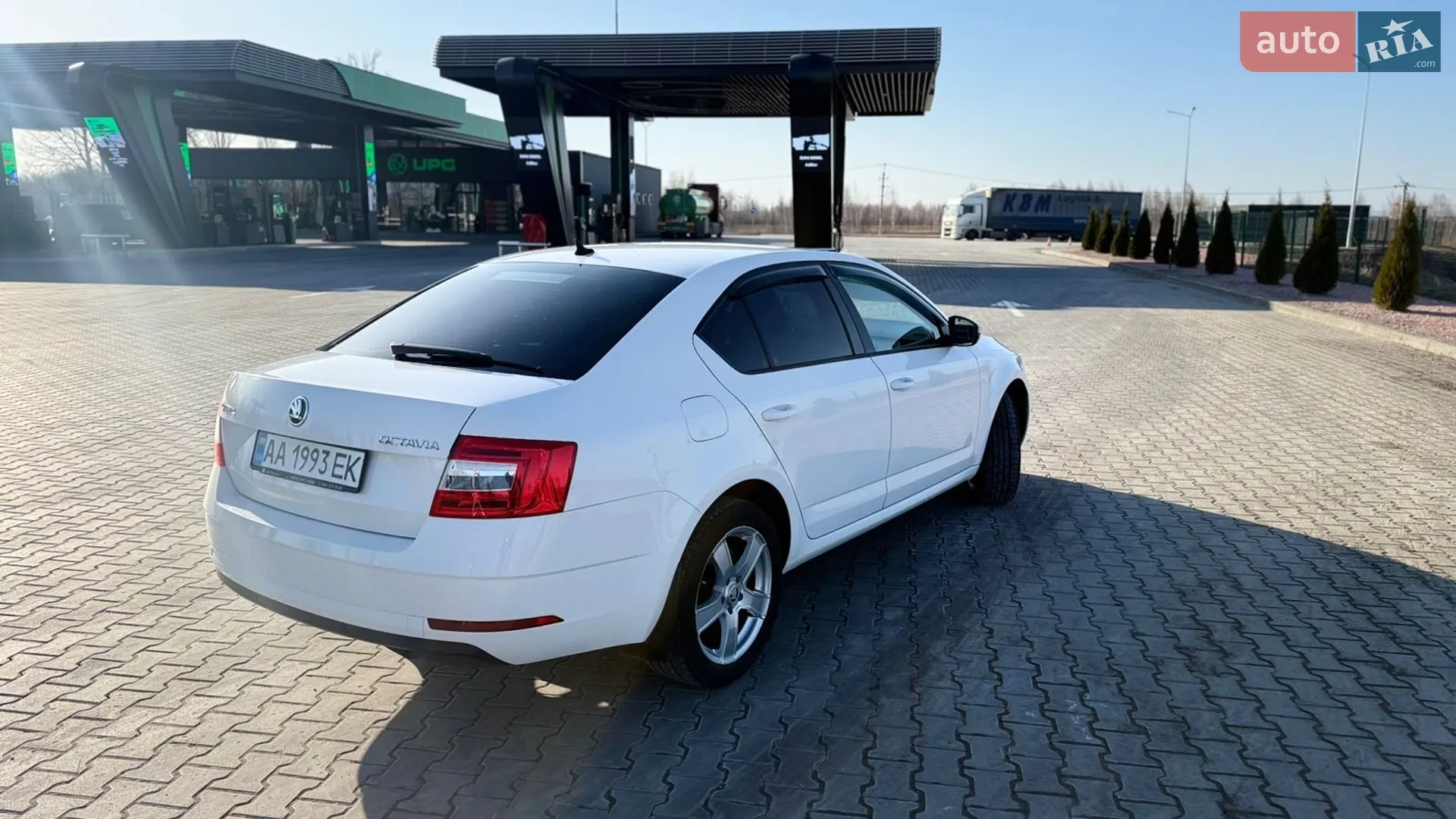 2019 Skoda Octavia - мініатюра 4