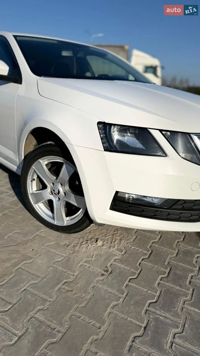 2019 Skoda Octavia - мініатюра 10