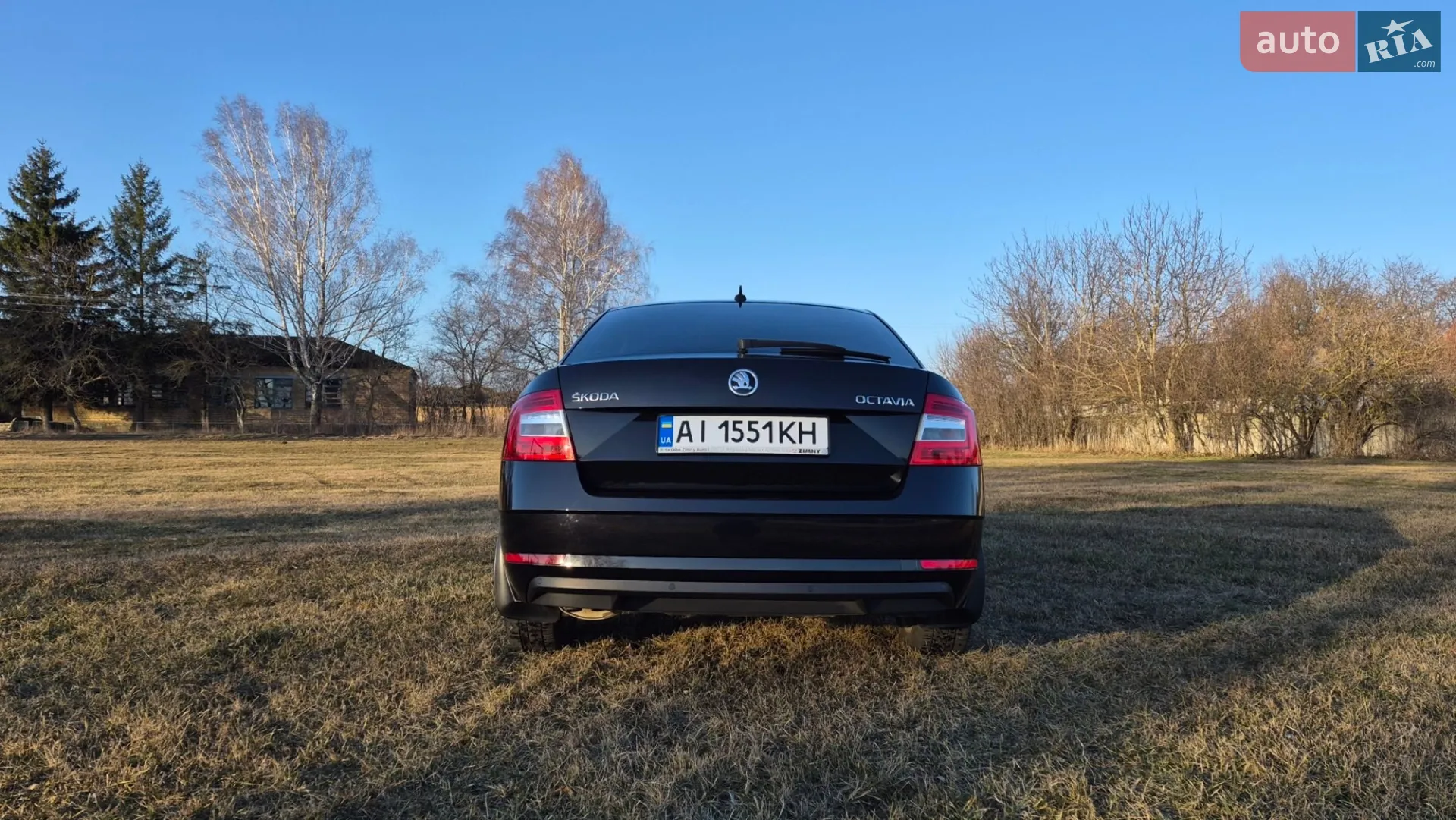 2018 Skoda Octavia - мініатюра 4