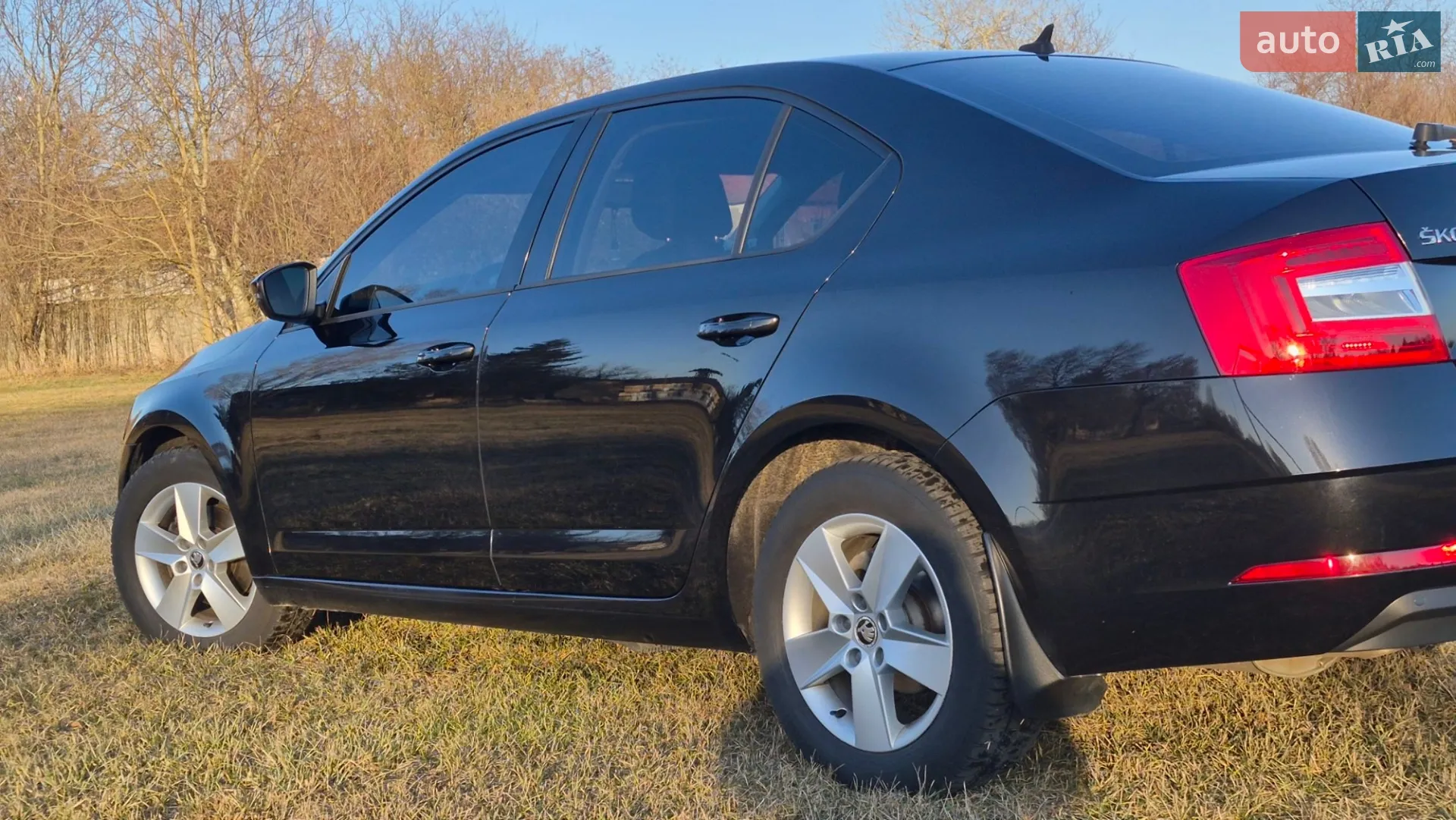 2018 Skoda Octavia - мініатюра 13