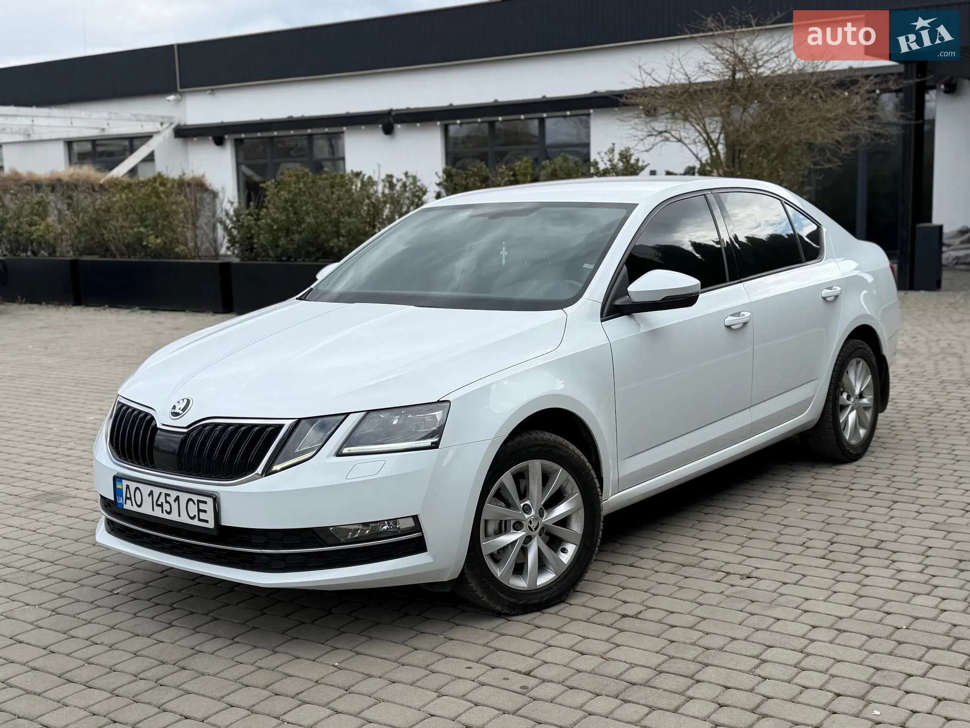 2019 Skoda Octavia - мініатюра 2