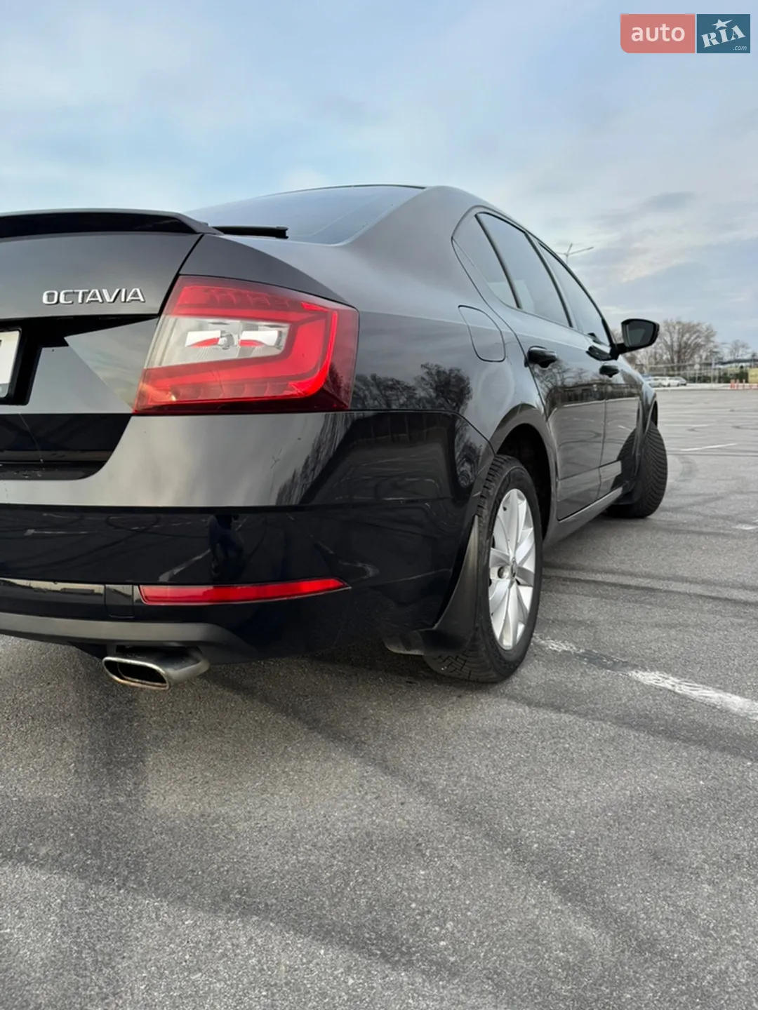 2017 Skoda Octavia - мініатюра 12