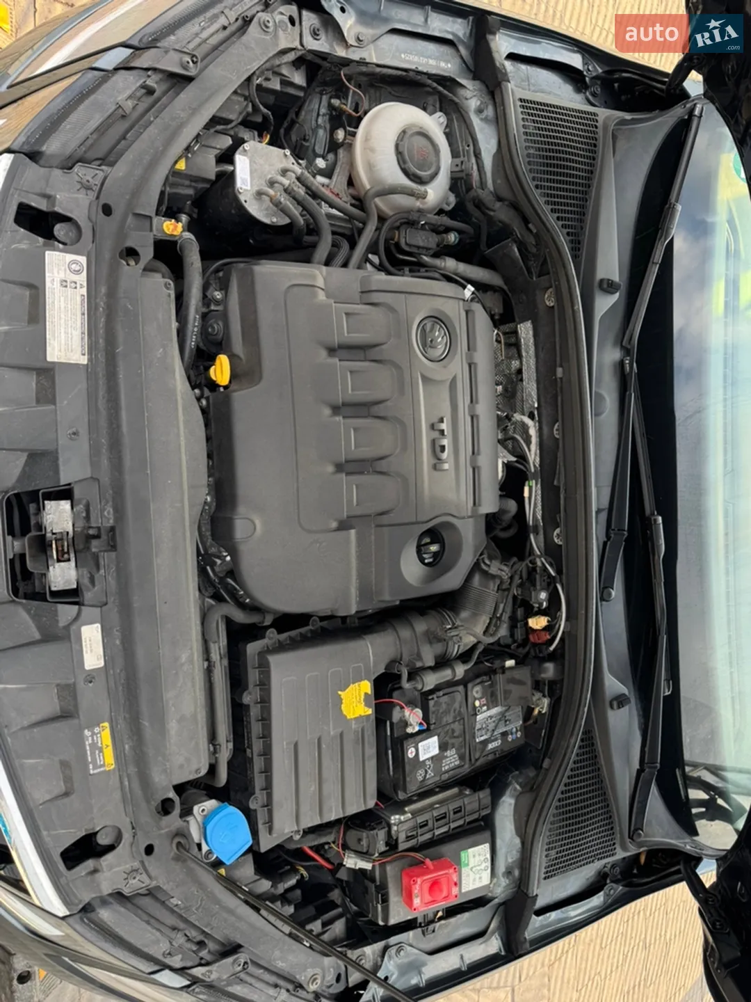 2019 Skoda Octavia - мініатюра 36