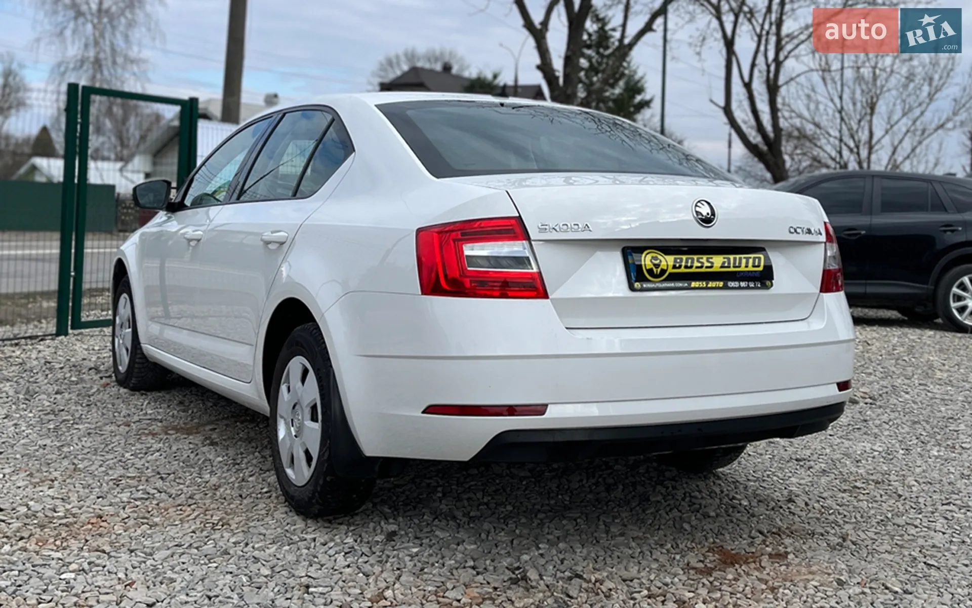 2019 Skoda Octavia - мініатюра 5