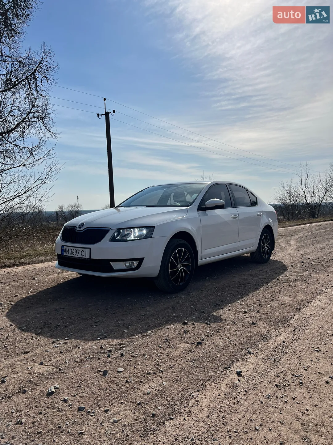 2013 Skoda Octavia - мініатюра 4