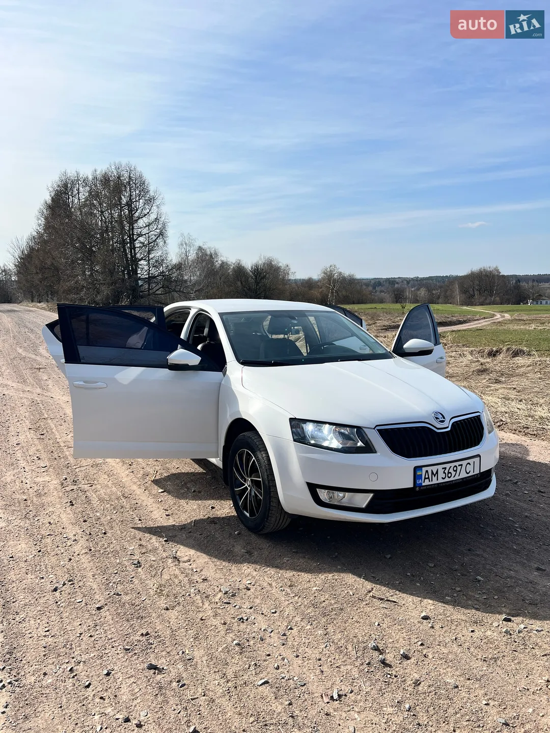 2013 Skoda Octavia - мініатюра 7