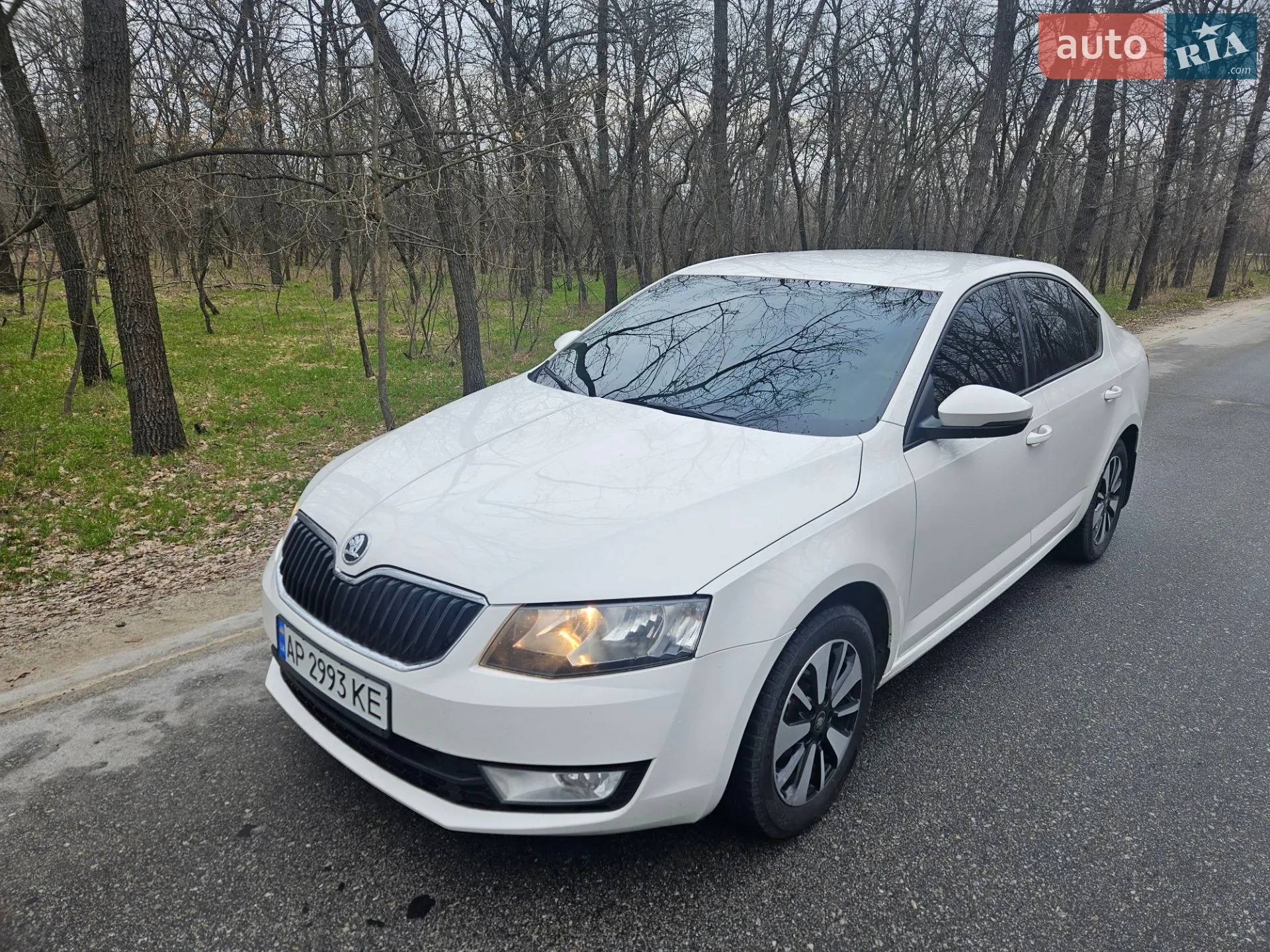 2016 Skoda Octavia - мініатюра 6