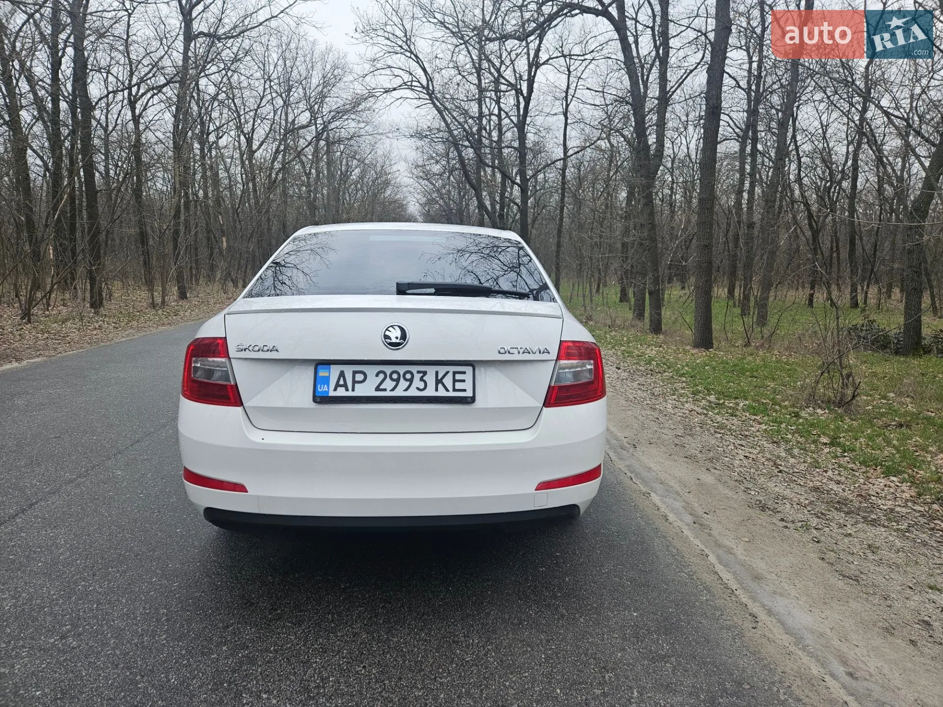 2016 Skoda Octavia - мініатюра 9