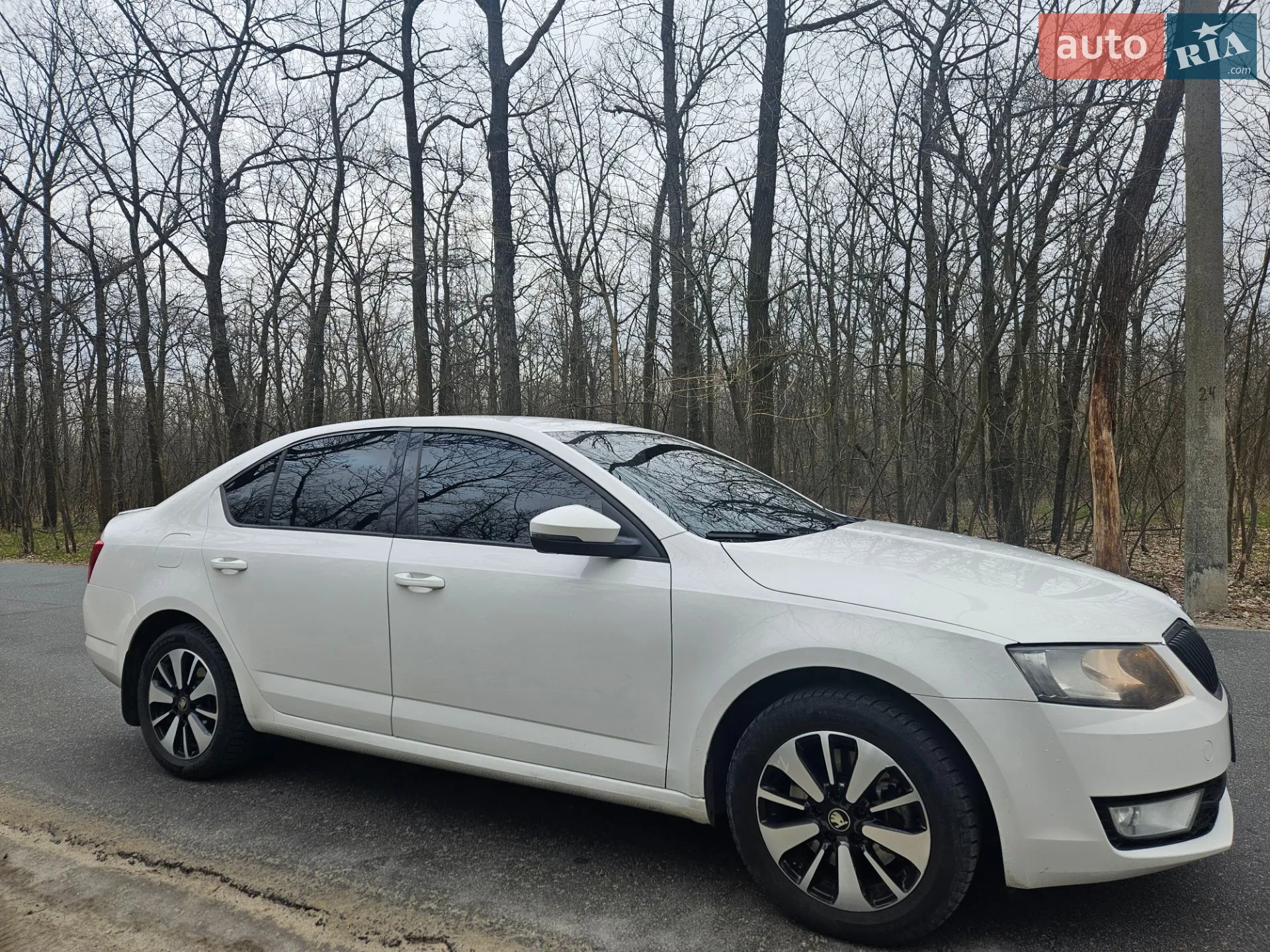 2016 Skoda Octavia - мініатюра 13