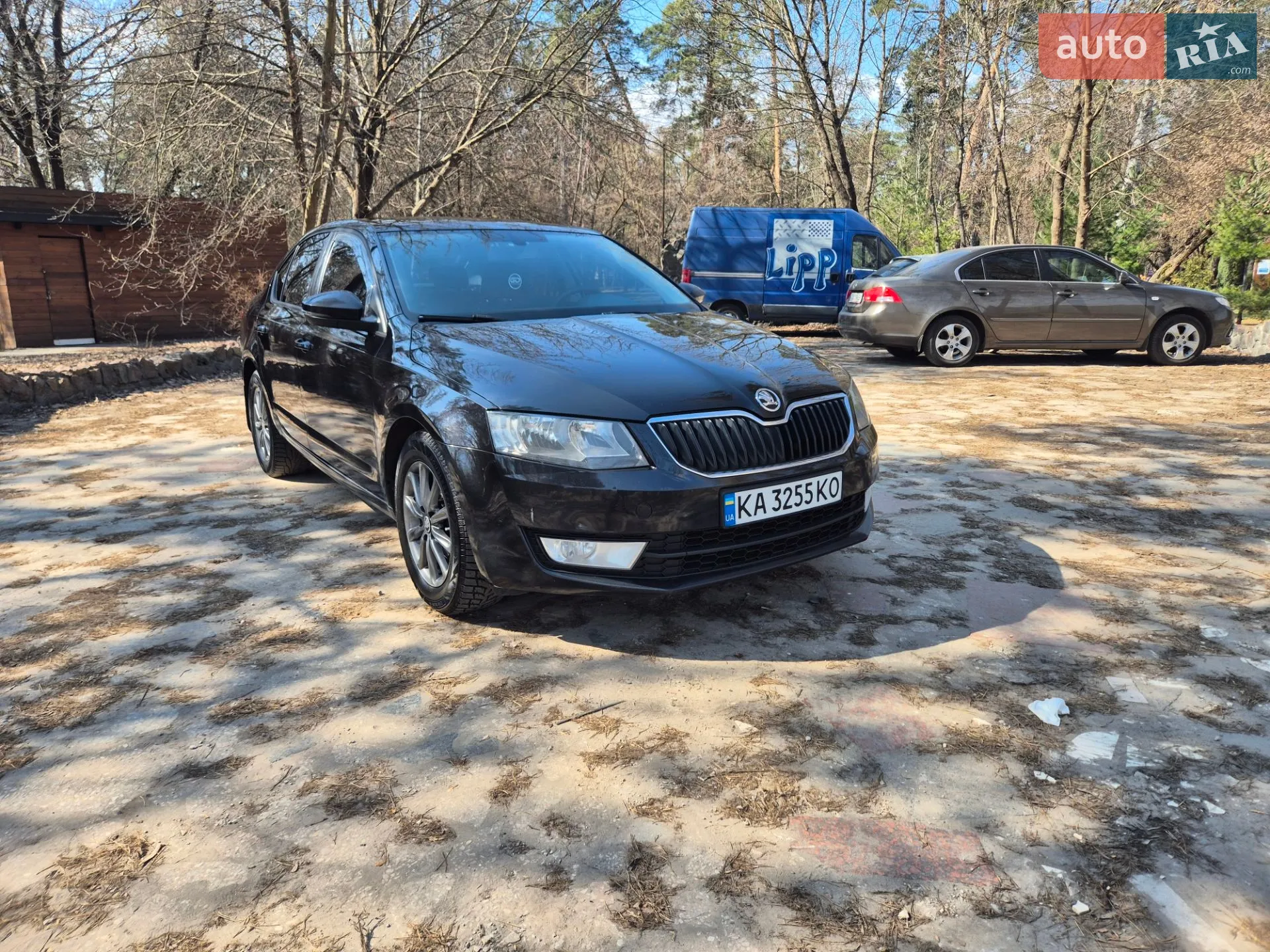 2013 Skoda Octavia - мініатюра 2