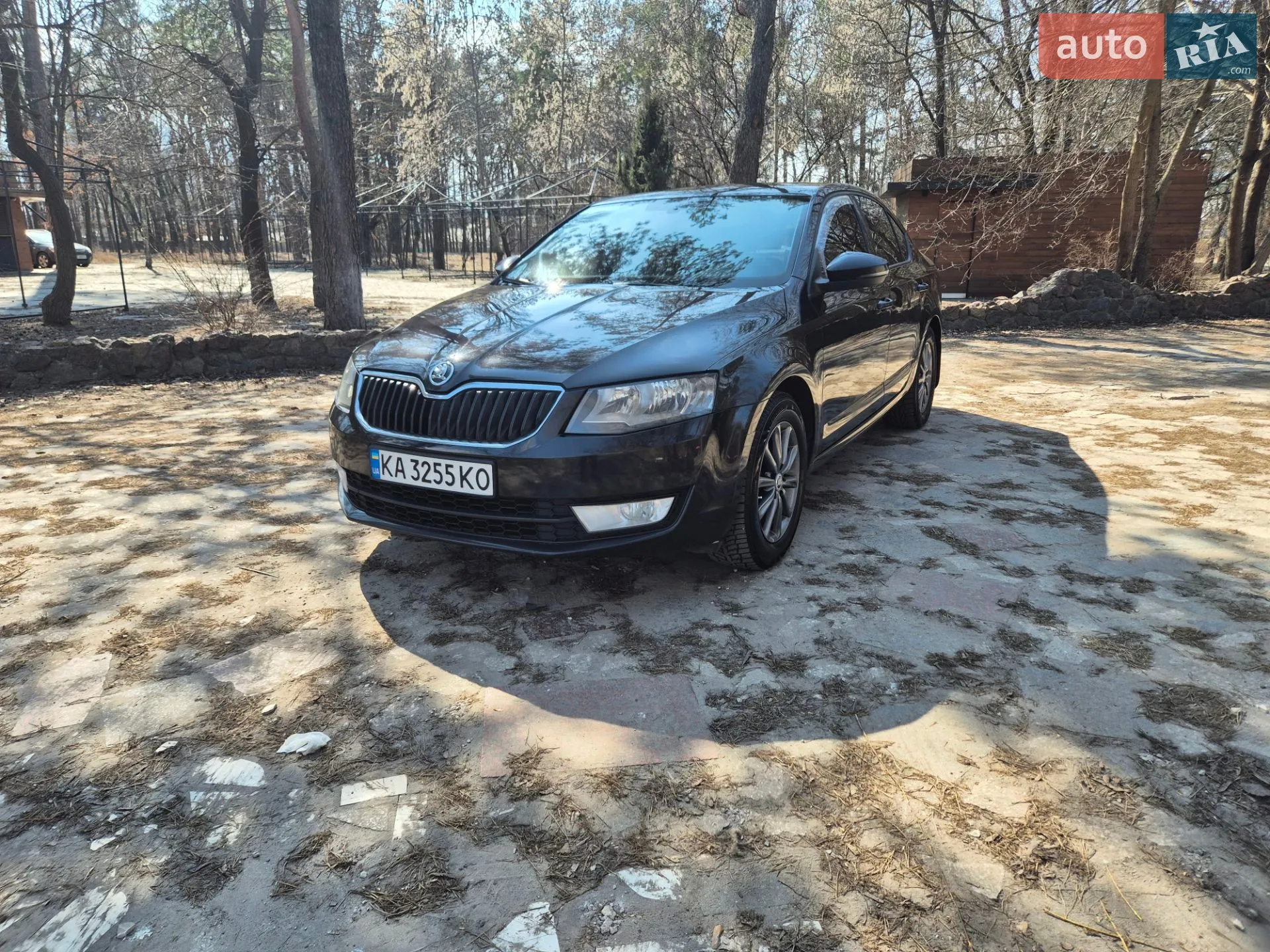2013 Skoda Octavia - фото 1