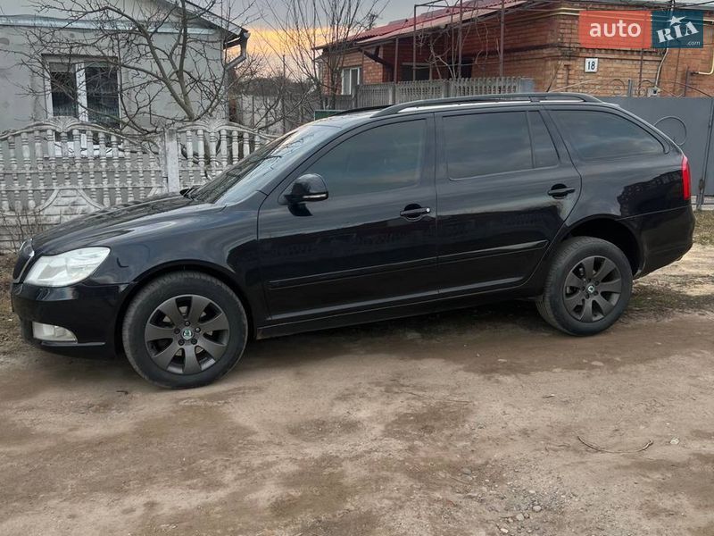 Универсал Skoda Octavia 2009 в Бердичеве