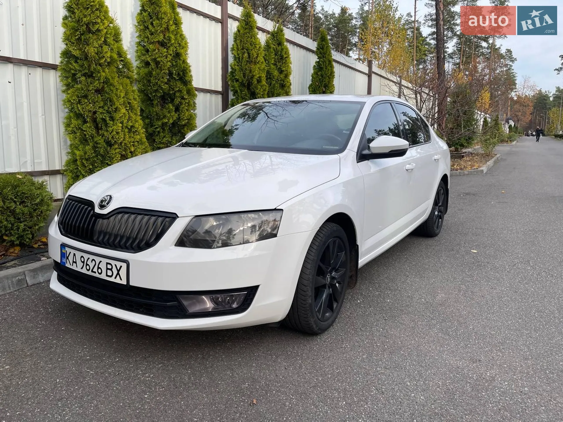2016 Skoda Octavia - мініатюра 2