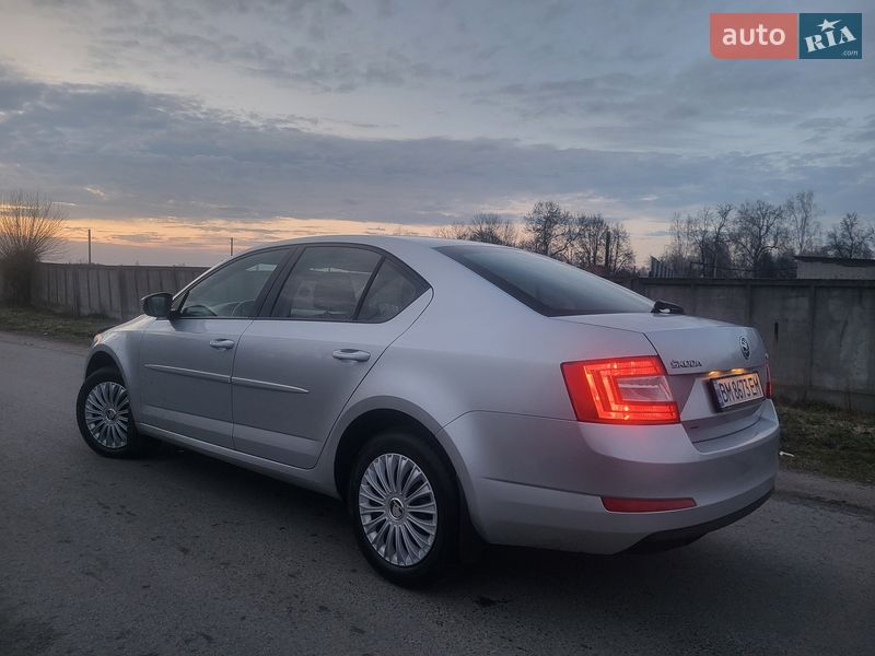 Лифтбек Skoda Octavia 2013 в Шостке