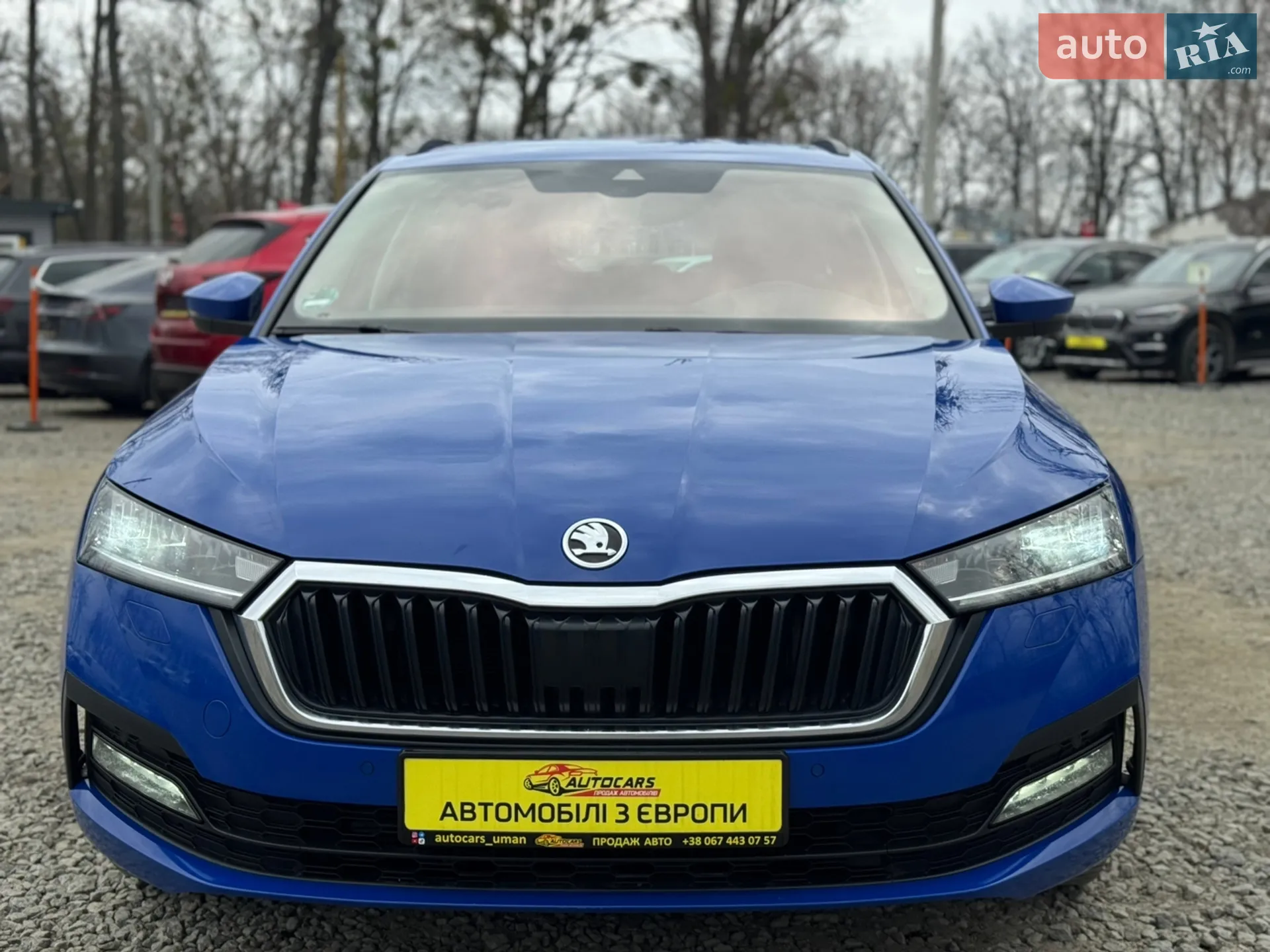 2022 Skoda Octavia - мініатюра 3